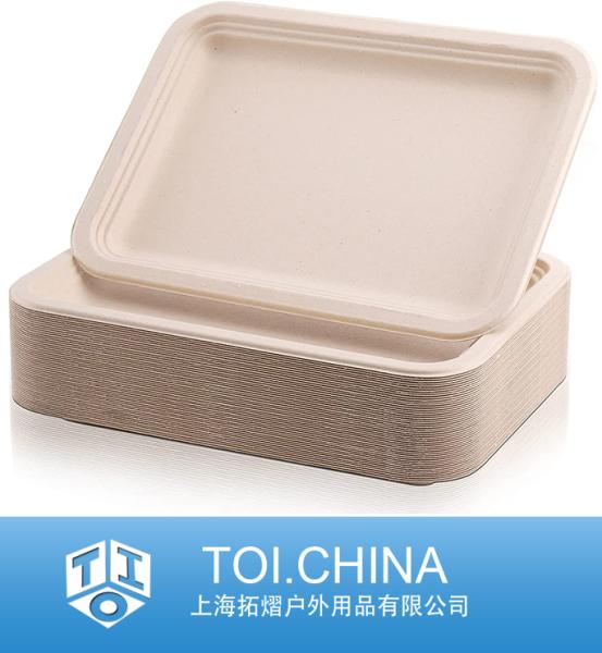 Biodegradable Paper Plates, Disposable Food Trays